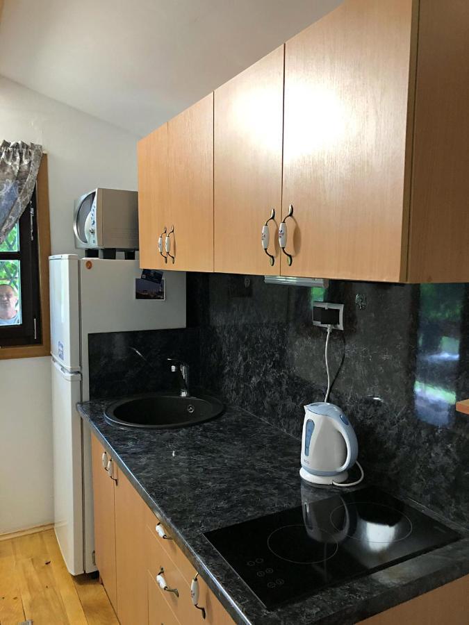 Studio Apartman Firdaus-Bihac, Dobrenica Bb Exteriér fotografie