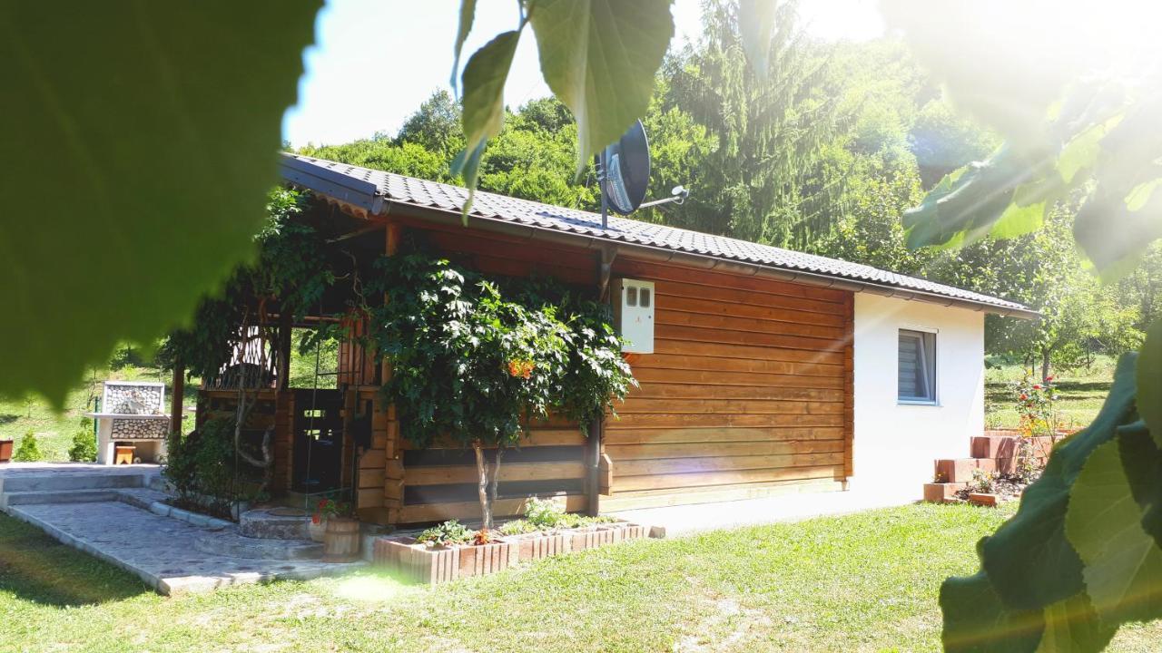 Studio Apartman Firdaus-Bihac, Dobrenica Bb Exteriér fotografie